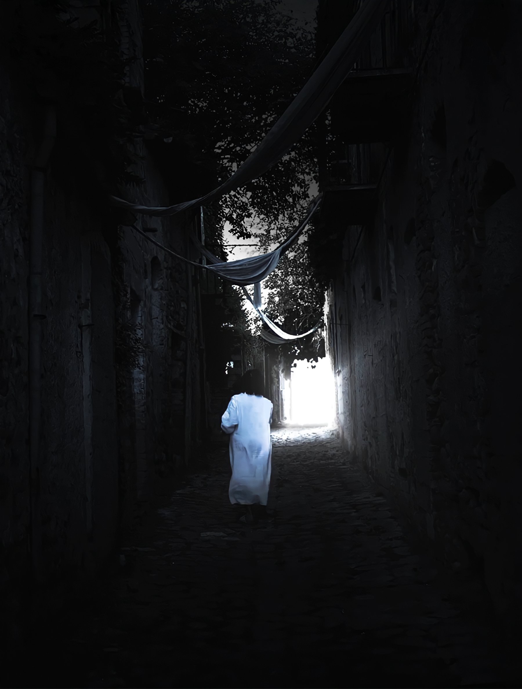 APICE — fotogramma di copertina